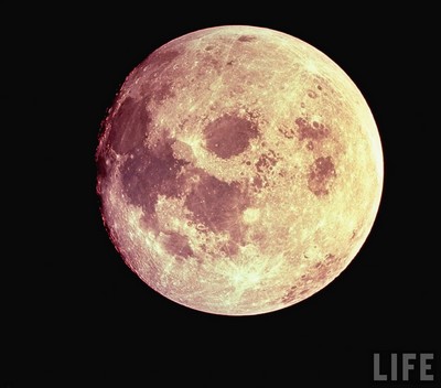 lune lune