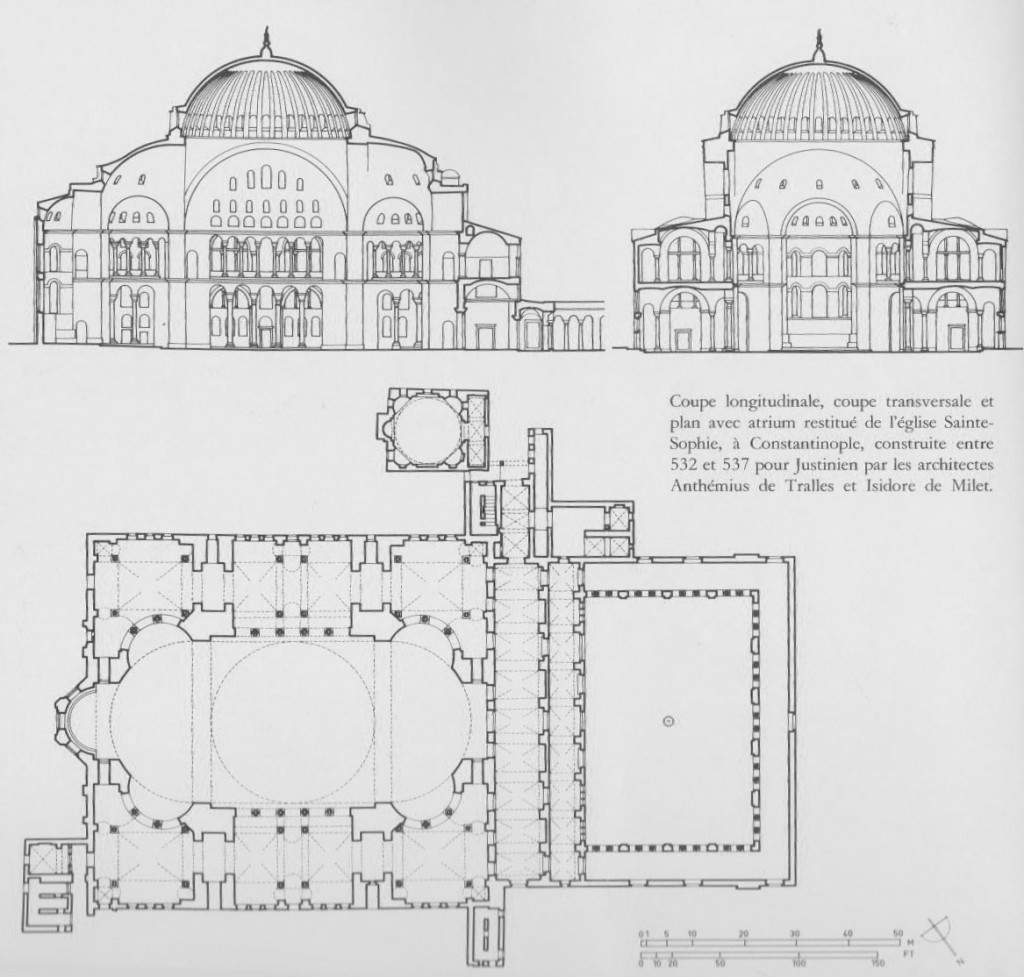 sainte sophie The Swedish Parrot