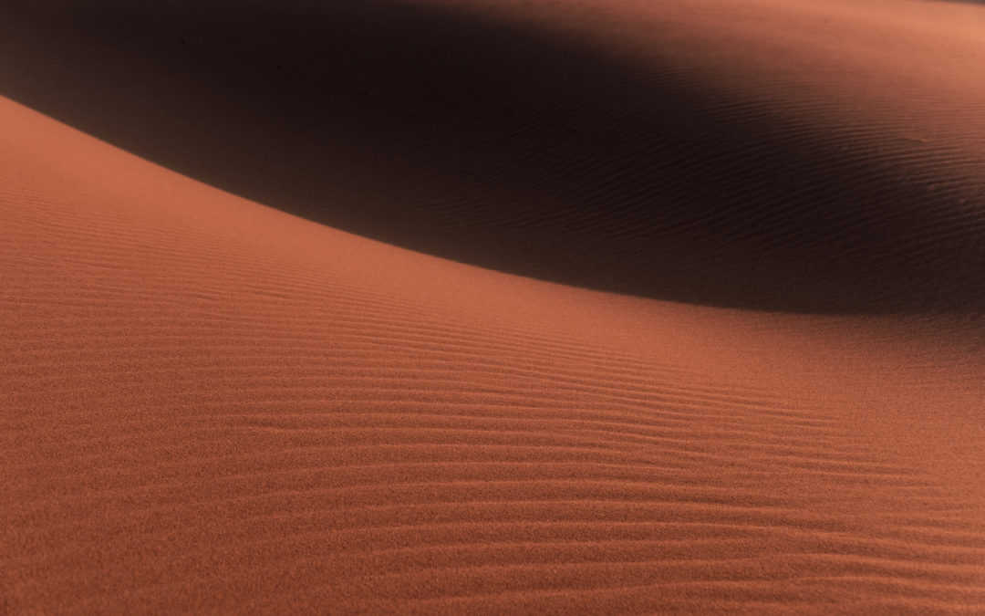 Pendant ce temps… En Mongolie ou ailleurs…